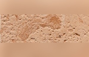 Indo Pink Coral Stone