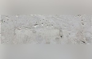 Indo White Coral Stone