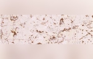 Ivory Red Marble