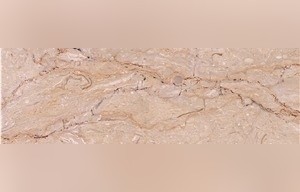 Jasmine Dark Marble
