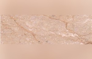Jasmine Gold Marble