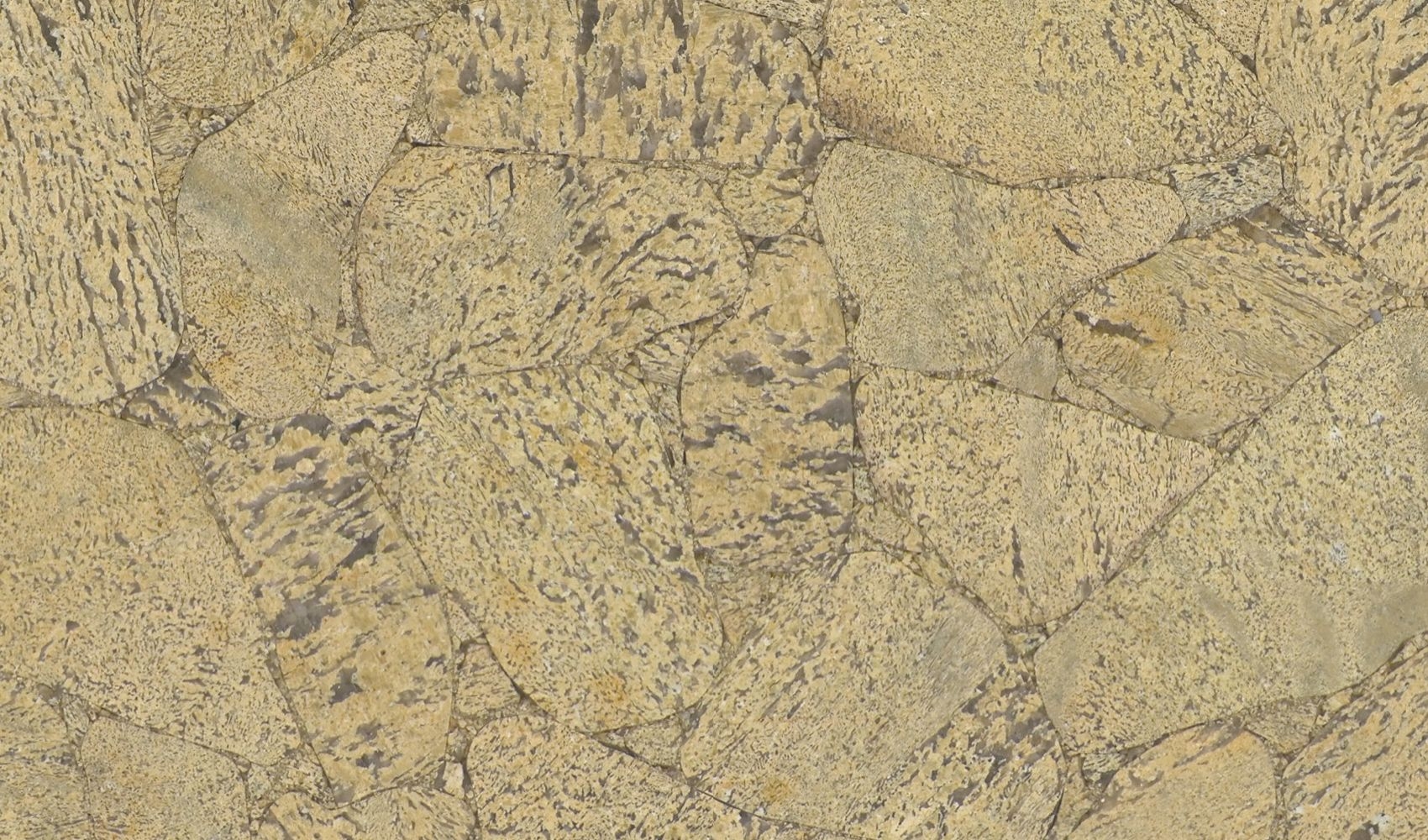 Jasper Zebra