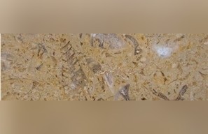 Jaune Fleuri Limestone
