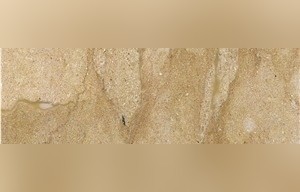 Jerusalem Gold A-53 Limestone