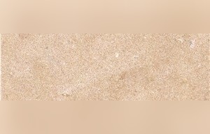 Jerusalem Golden Sand Limestone