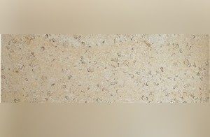 Jerusalem Golden Shell Limestone