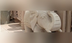 Jodhpur Pink Sandstone