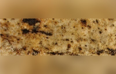 Juparana Jatoba Granite