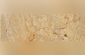 Juparana Wave Light Granite