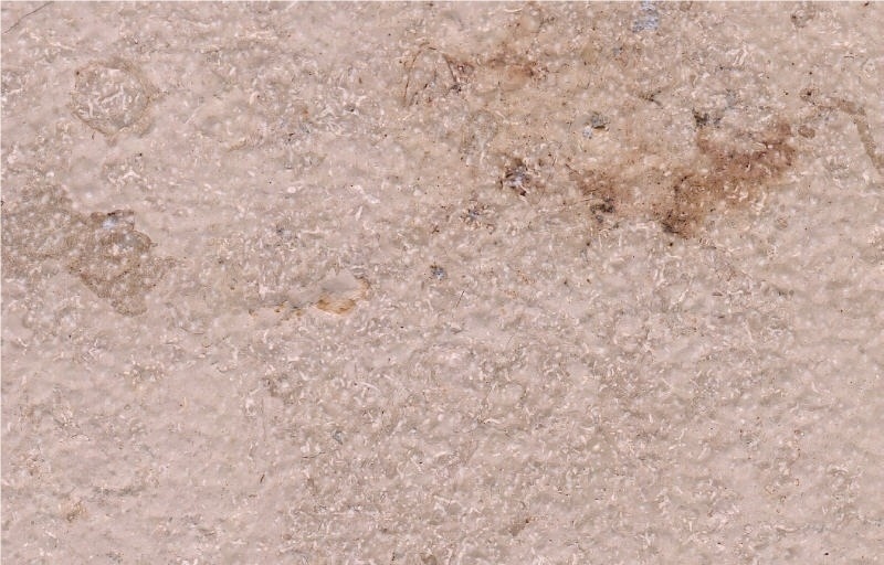 Jura Gelb Limestone