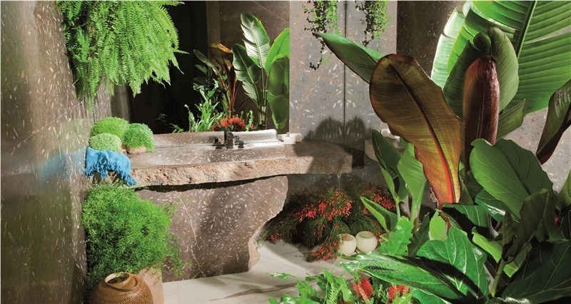 Jurassic Brown Marble