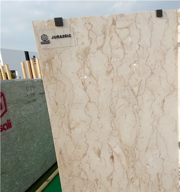 Jurassic Cream Marble