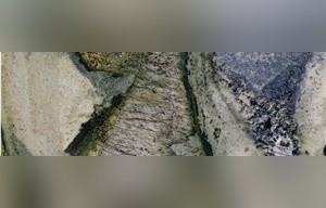 Kamarica Granite