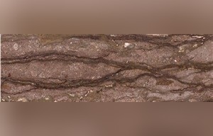 Kashan Chocolate Travertine