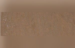 Katni Brown Sandstone