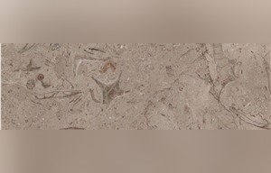 Katrina Marble