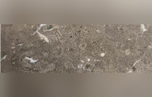 Khaki Grey Marble