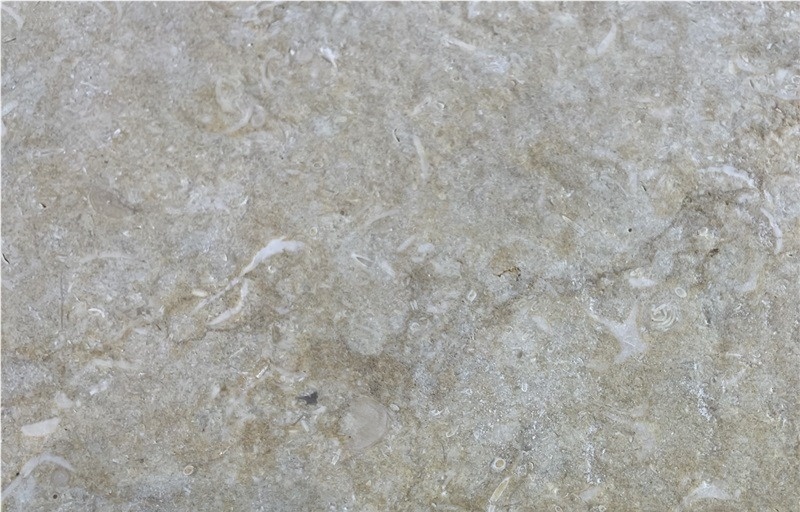 Khatmia Limestone