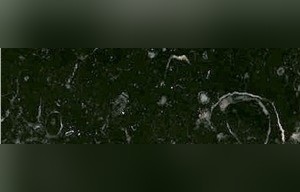 Kilkenny Black Fossil Limestone