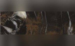 King Gold Marble