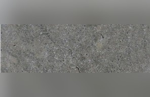Kinnekulle Gray Limestone