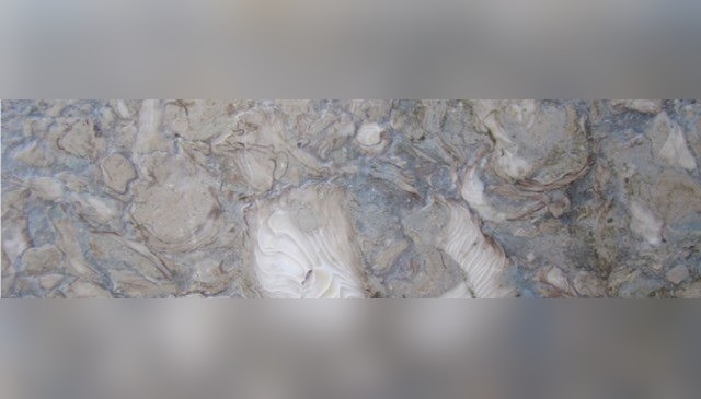 Kohilie Limestone