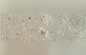 Komani Limestone