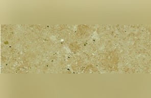 Kozlu Noche Travertine