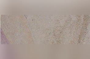 La Rosee Limestone