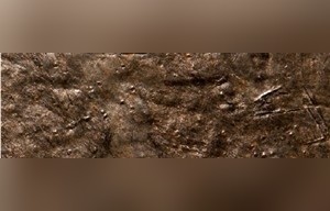 Lace Rust Phyllite