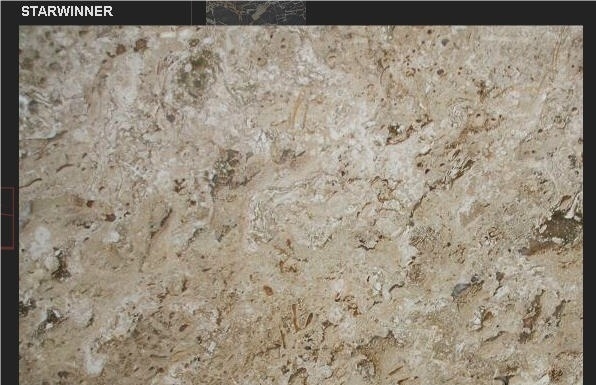 Laura Beige Marble
