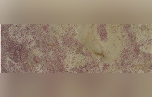 Laurentian Rose Limestone