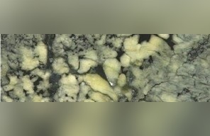 Leopard Rock Marble