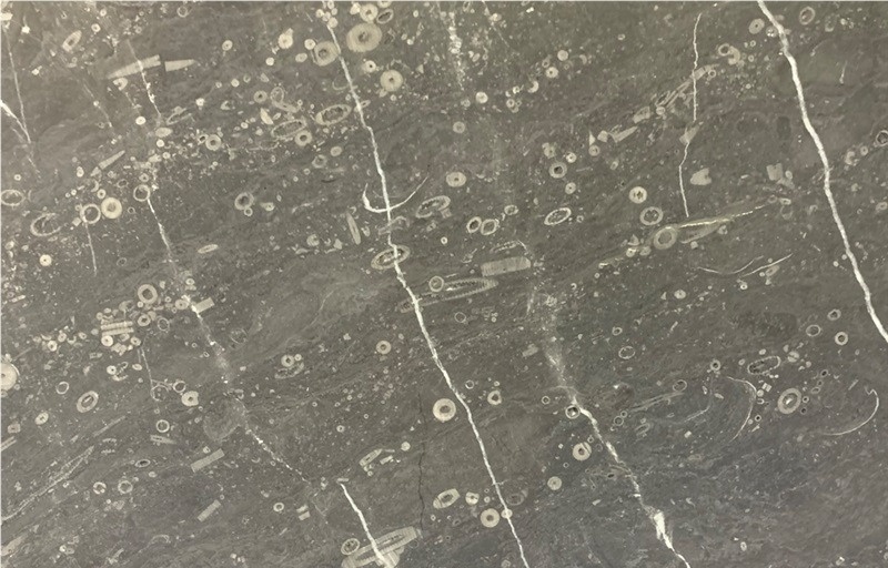 Lily Gray Marble