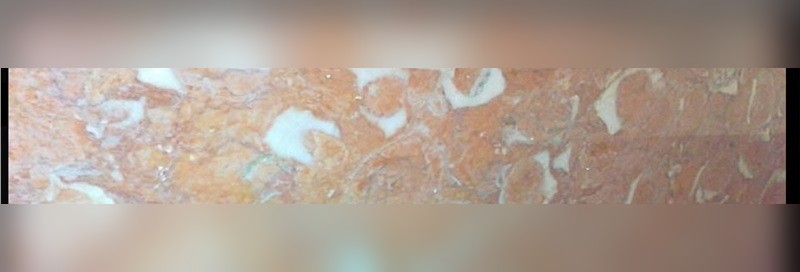 Lioz Vermelho Limestone
