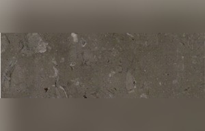 Lipica Fiorito Limestone