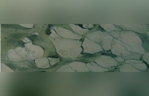 Lotus Green Marble