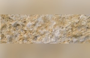 Lueders Limestone
