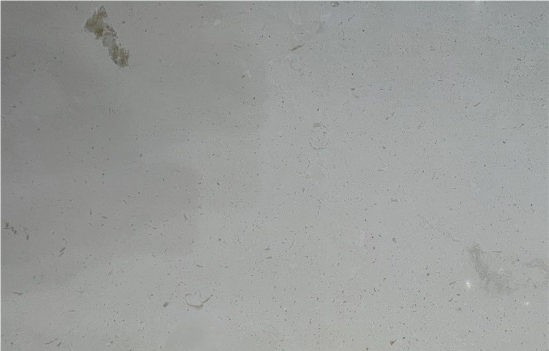 Luna Bianco Limestone