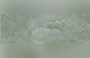 Lushan Green Marble