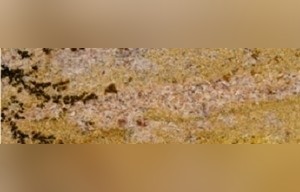 Luxor Granite
