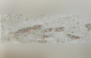Maco Light Silver Travertine