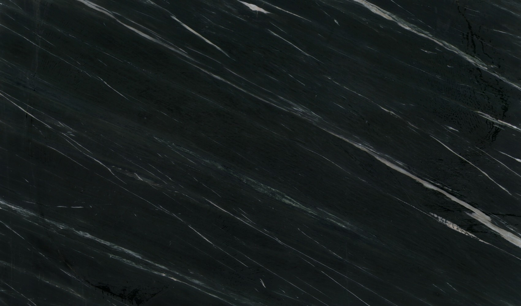 Majestic Black