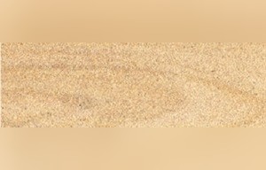 Mandras Sandstone