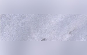 Manyas White Marble