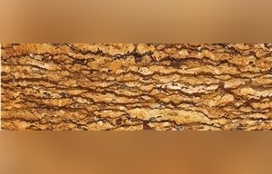 Marina Travertine