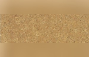 Mekeginsky Limestone