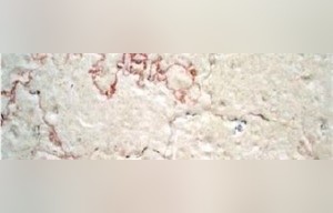 Meleke White Limestone