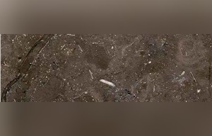 Meli Brown Marble
