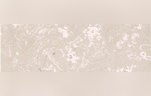 Melitta Fioritto Marble
